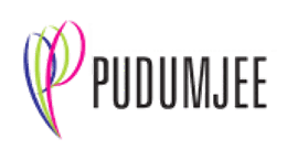 Pudumjee